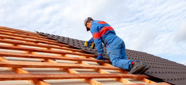 Best Solar Panel Roofing Installation  in Cedar Hill, MO